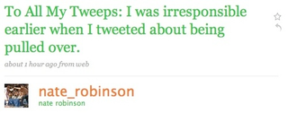 Illustration for article titled Nate Robinson Arrested, Trial By Twitter